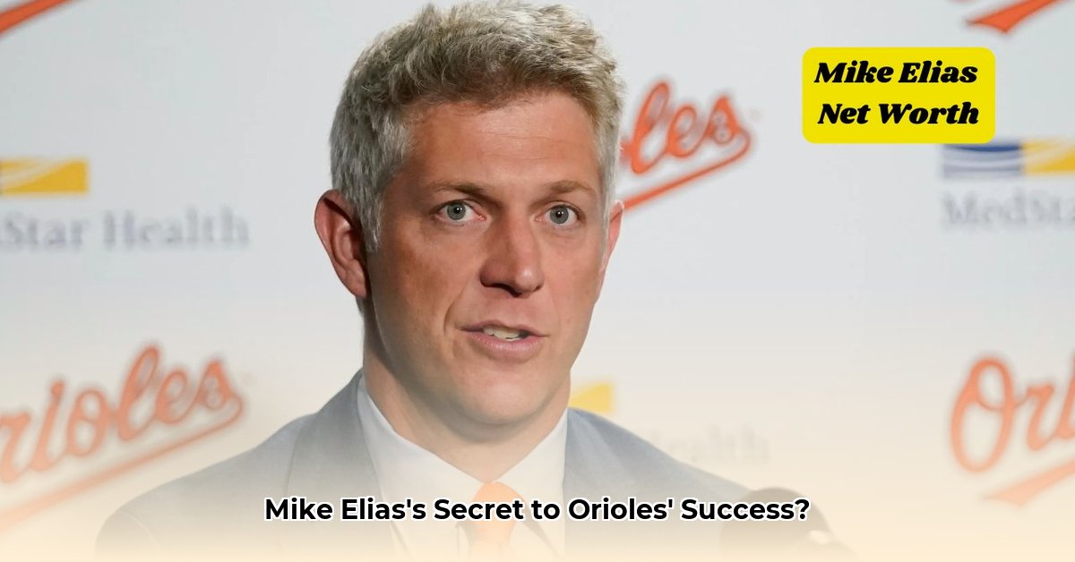 mike-elias-net-worth